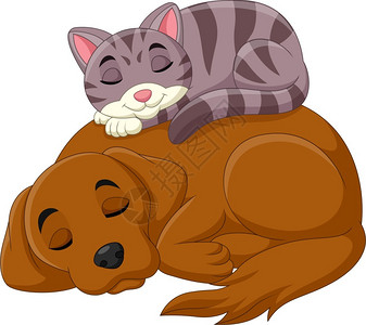 睡着的狗卡通猫和狗插画
