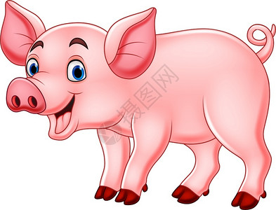 害羞的小猪可爱的猪插画