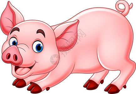 害羞的小猪可爱的猪插画