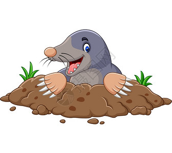 挖掘出来的卡通土拨鼠从洞里出来插画