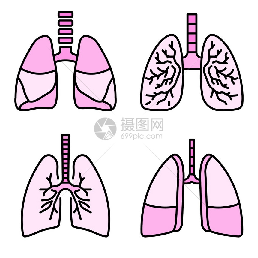 肺部图标组为病媒图标大纲集图片