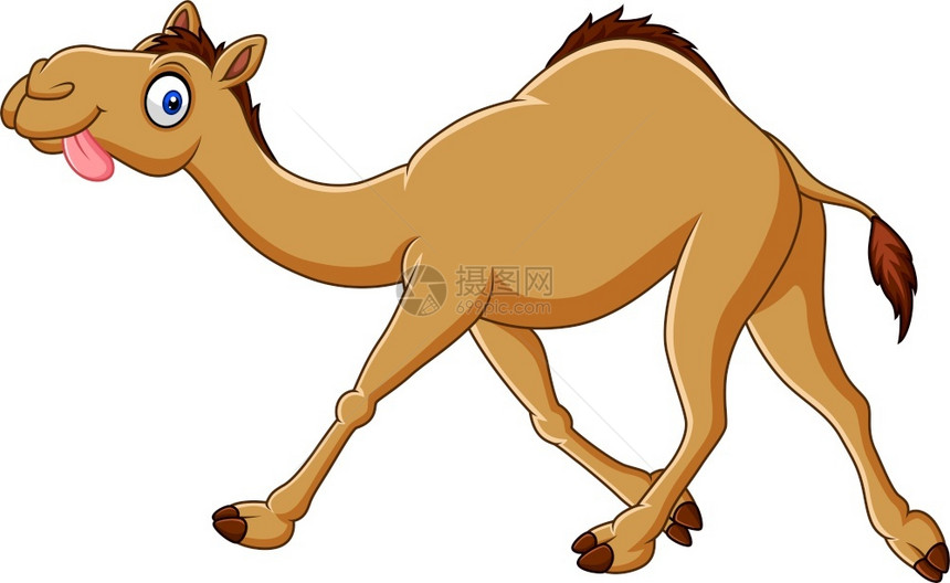 卡通可爱的骆驼图片