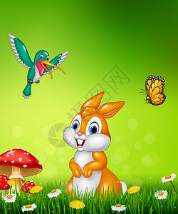 可爱的小兔子美丽绿草图片