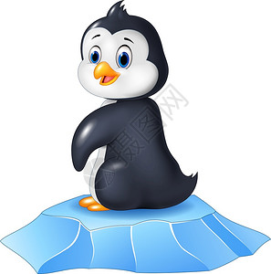 黑色冰坐在冰面上的可爱小企鹅插画