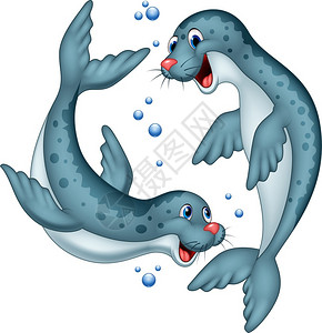 海角毛皮海豹卡通可爱海豹插画