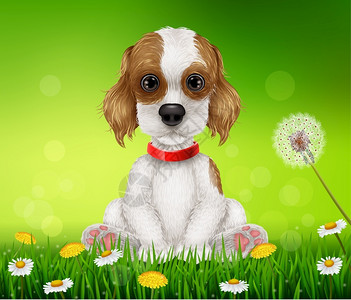 绿色小雏菊坐在草地上笑的卡通狗插画