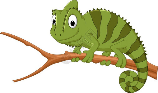 绿色蜥蜴树枝上的卡通变色龙插画