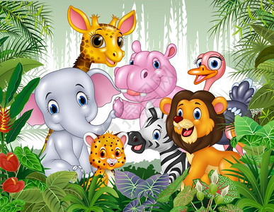 丛林中的卡通野生动物背景图片