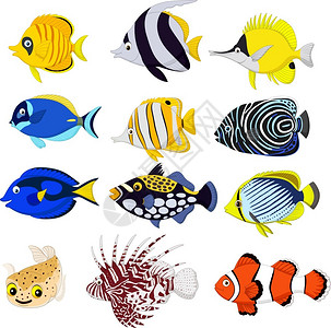 卡通热带鱼群图片