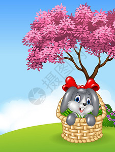 篮子里带着红色蝴蝶结的可爱小兔图片