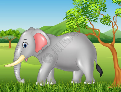 丛林中可爱的大象图片