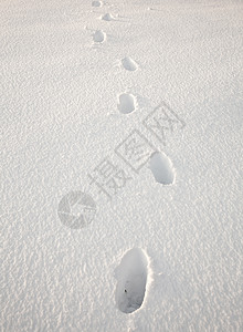 脚印消失在远处的深雪中图片
