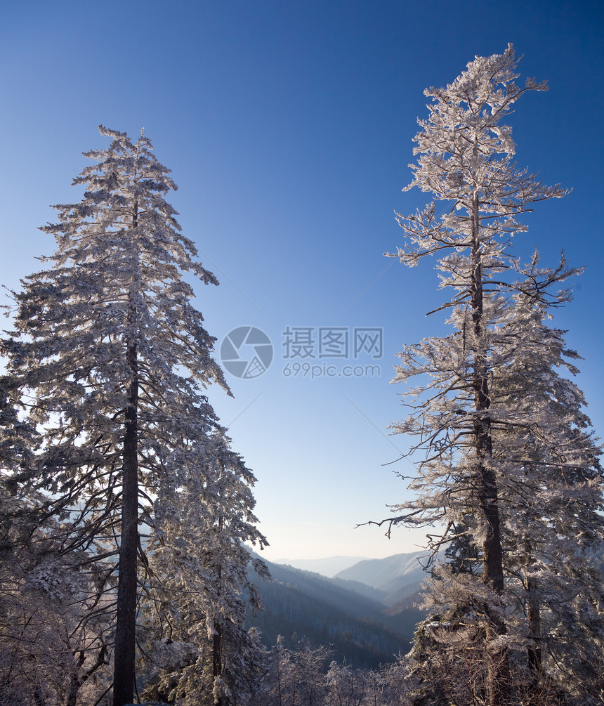 冬天的树木和蓝天山川的景色图片