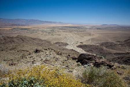 安扎博雷戈沙漠和州公园在山谷中布罗雷戈泉由黄树包围高清图片