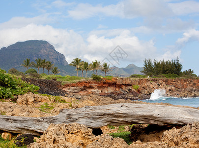Kaui南岸海面岩石侵蚀图片