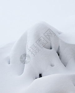 深雪覆盖植物形成抽象状图片