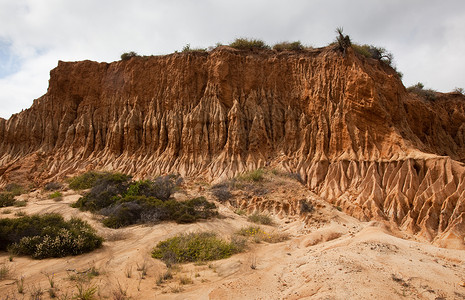 托里松树山坡上的沙石砂岩中尖锐侵蚀的坚硬剃刀背景图片