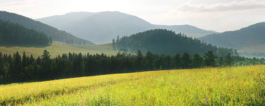 绿地的景观AltaiRusa图片