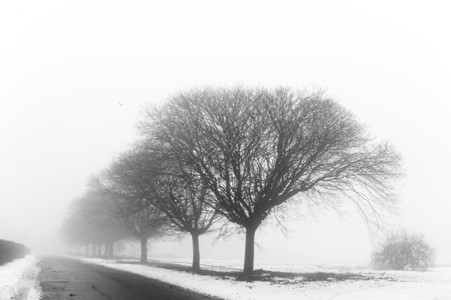 雾天冬雪的公园背景图片