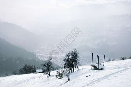 冬季大山风景和雪覆盖的树木图片