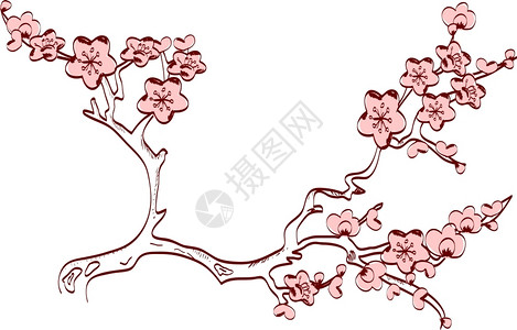 酵素梅子樱花春枝日本风格设计图片