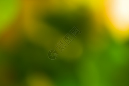 绿色模糊的抽象背景和阳光角度图片