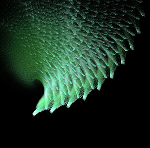 绿色烟花计算机生成此图像背景图片
