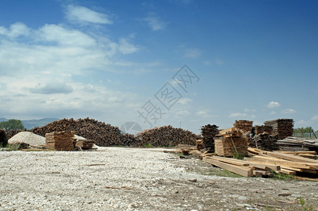 木材工厂图片