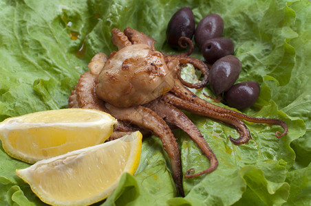 生菜上的章鱼图片