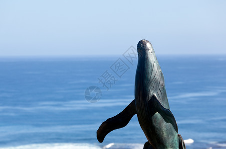 以海洋为背景从中破裂的鲸鱼铜雕像图片