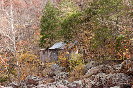 森林中的定居小屋图片