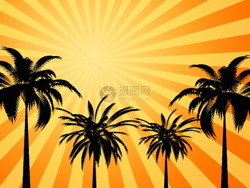 热太阳大黄色和橙的热夏日太阳照棕榈树图片