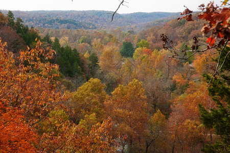 秋天或的Mesourizaks森林背景图片