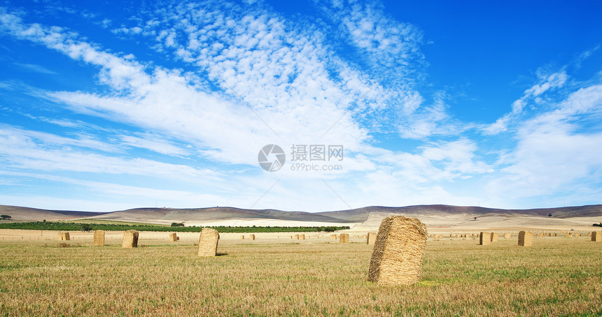 国内一片干草田的全景象图片