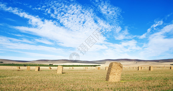 国内一片干草田的全景象图片