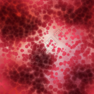 血细胞动脉中许多红细胞图片