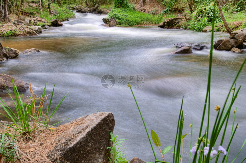 美丽的溪流或河美景图片
