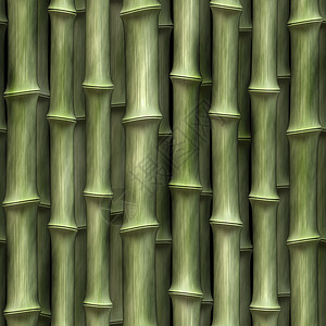 竹子背景丛的大型背景图像图片