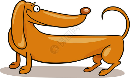 卡通猎狗纯种达赫肖德狗的漫画插图背景