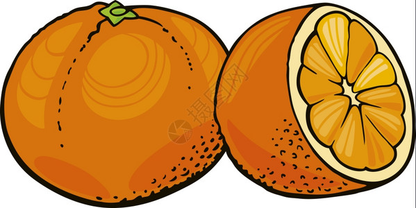 卡通橘子水果两个橙子插图背景