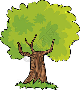 绿树漫画插图图片
