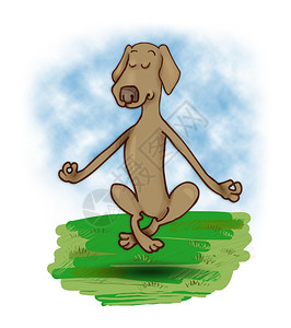 关于冥想和浮游狗的幽默式插图图片