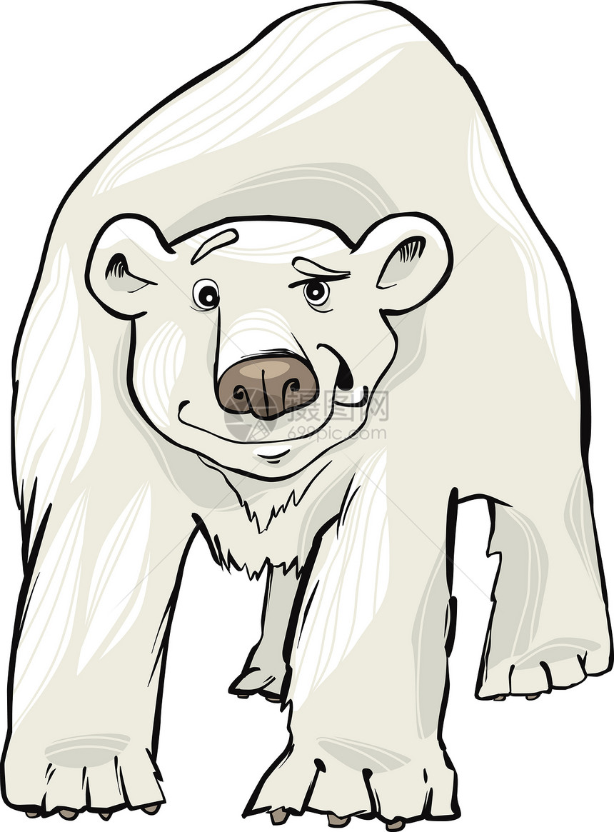 有趣的白北极熊漫画插图图片