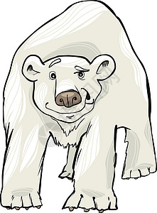熊卡通形象有趣的白北极熊漫画插图背景