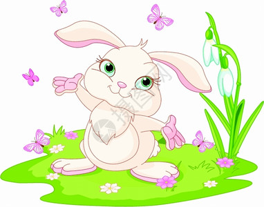 草地上的可爱兔子图片
