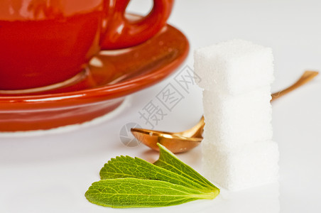 甜菊糖苷甜菊糖对糖的草药支持甜菊糖的支持背景