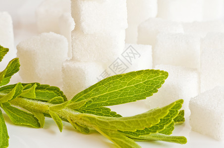 甜菊糖对糖的草药支持甜菊糖的支持高清图片