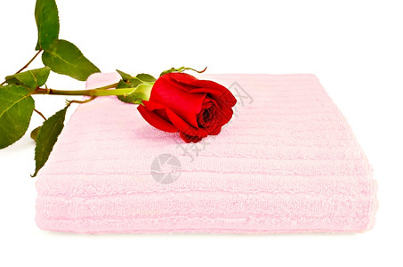 粉红色的毛巾玫瑰孤立在白色背景图片