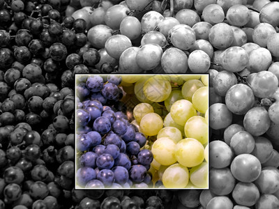 白葡萄和蓝聚焦于白葡萄和蓝图片