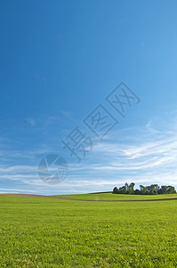 绿色小山农业流利地高清图片